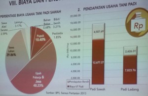 [Data Sensus Pertanian BPS (2013), dicapture dari foto slide presentasi Abdul Salam (Ketua Pokja Pupuk Nasional, Kemenko Perekonomian)]