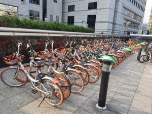 Sepeda Sewa Shanghai